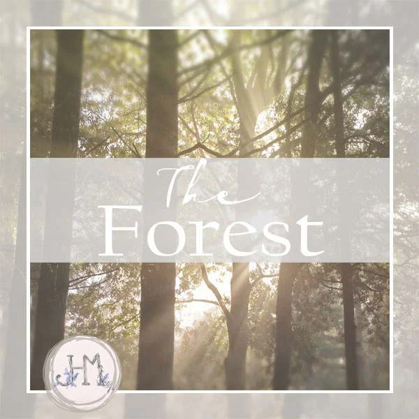 pinterest board cover the forest.jpg