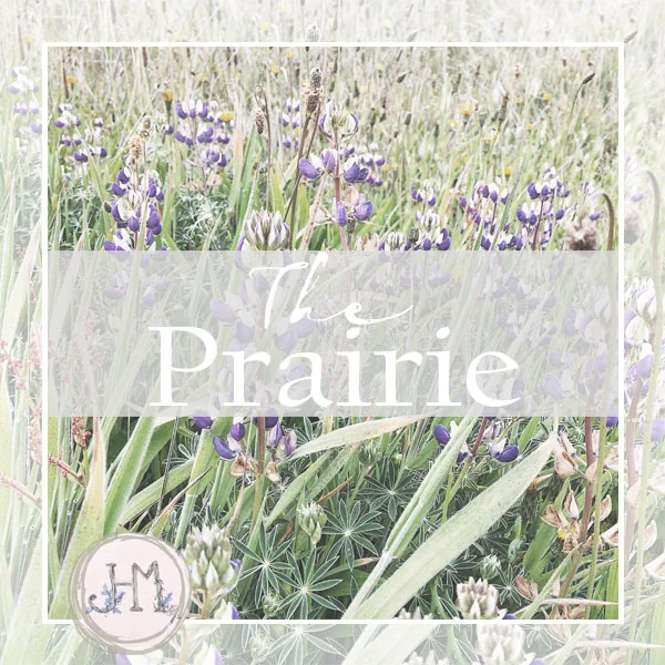 pinterest board cover the prairie.jpg