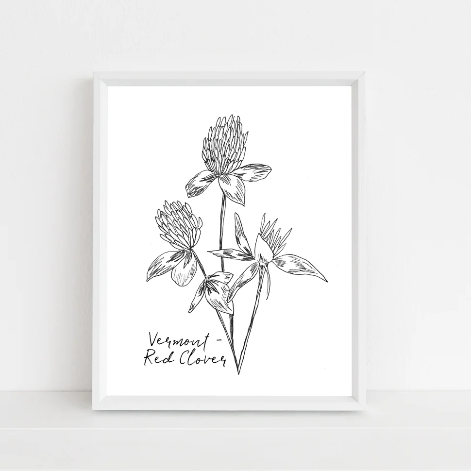 vermont red clover state flower with script framed mock up.jpg