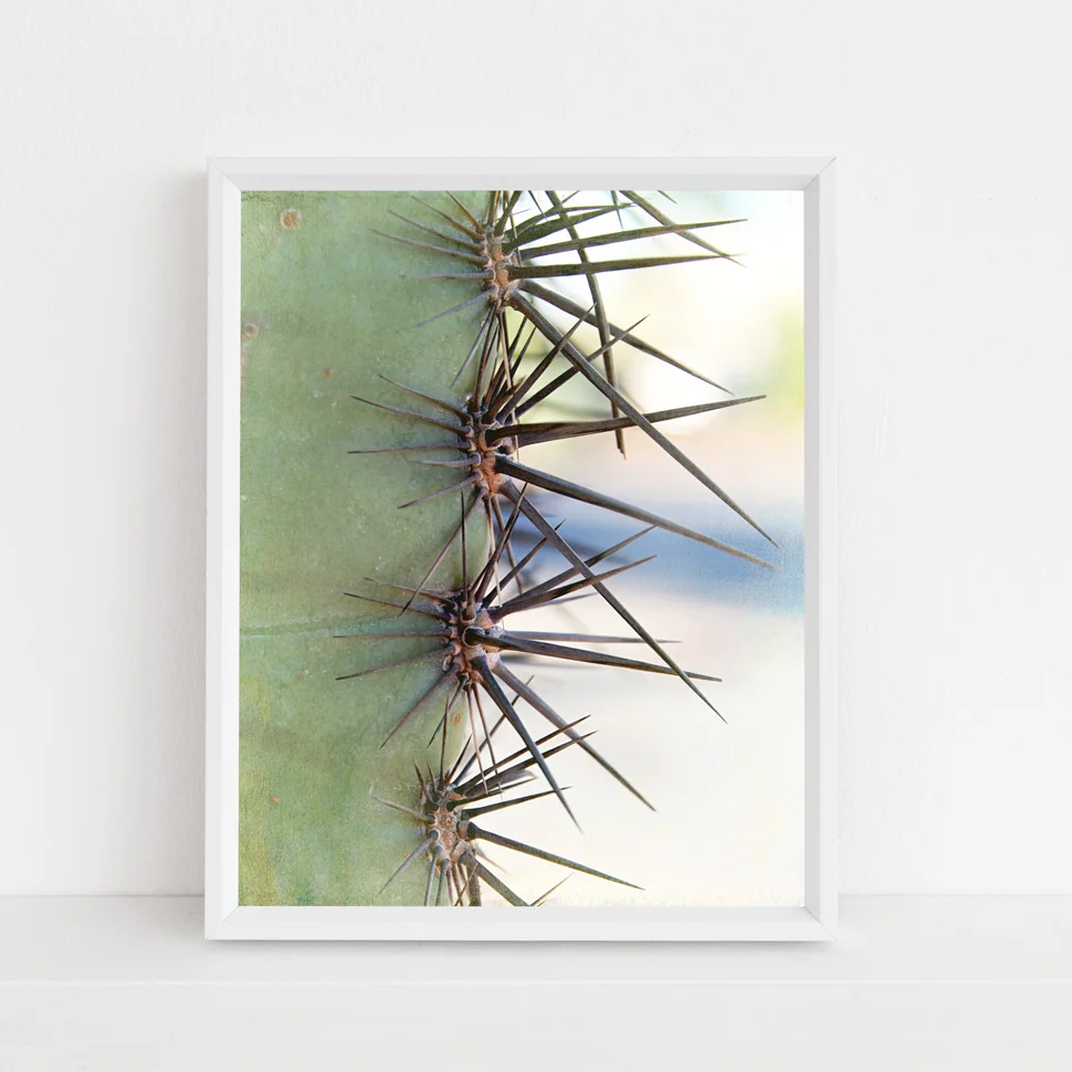 cacti photograph by Journey Home Made.jpg