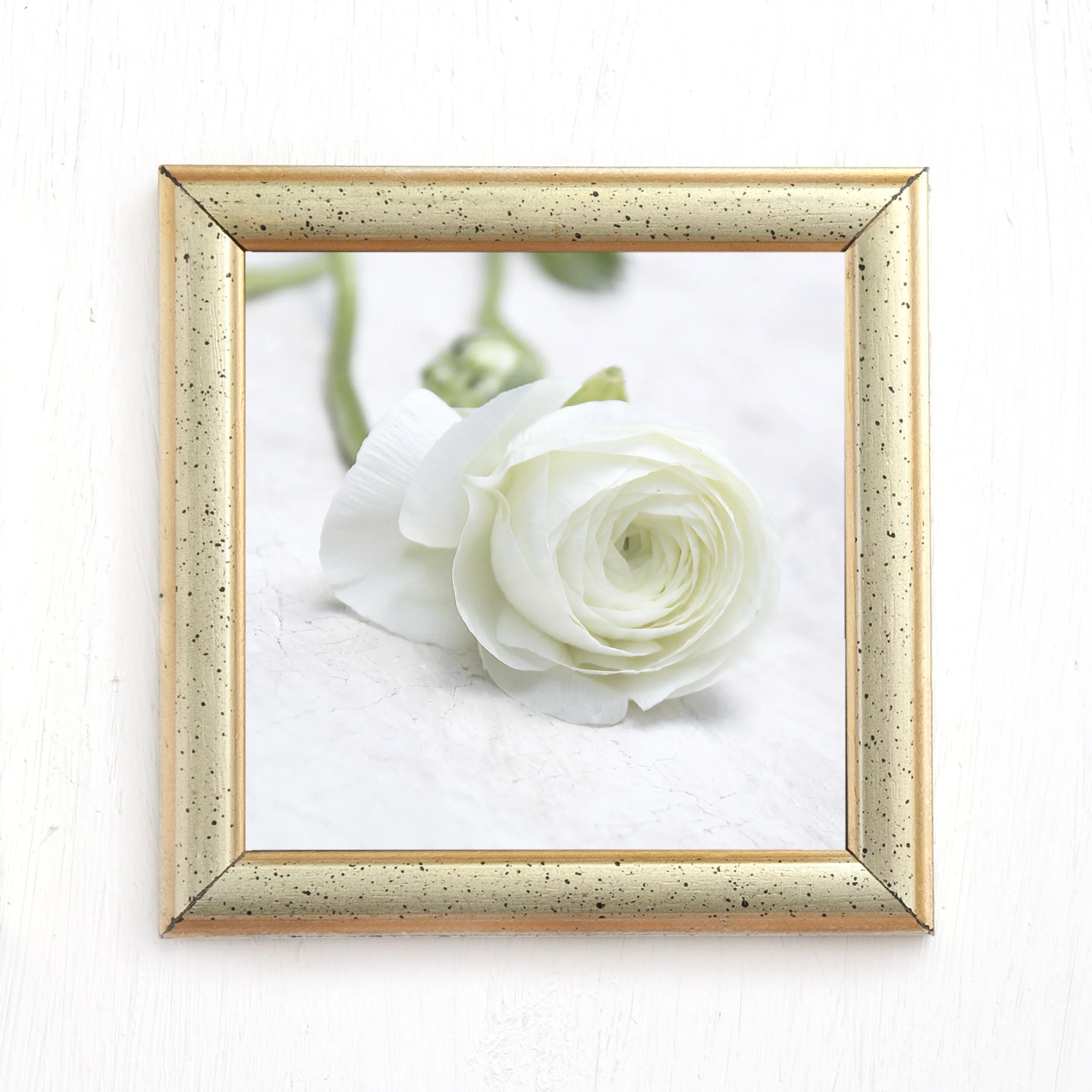 white ranuculas by Journey Home Made.jpg
