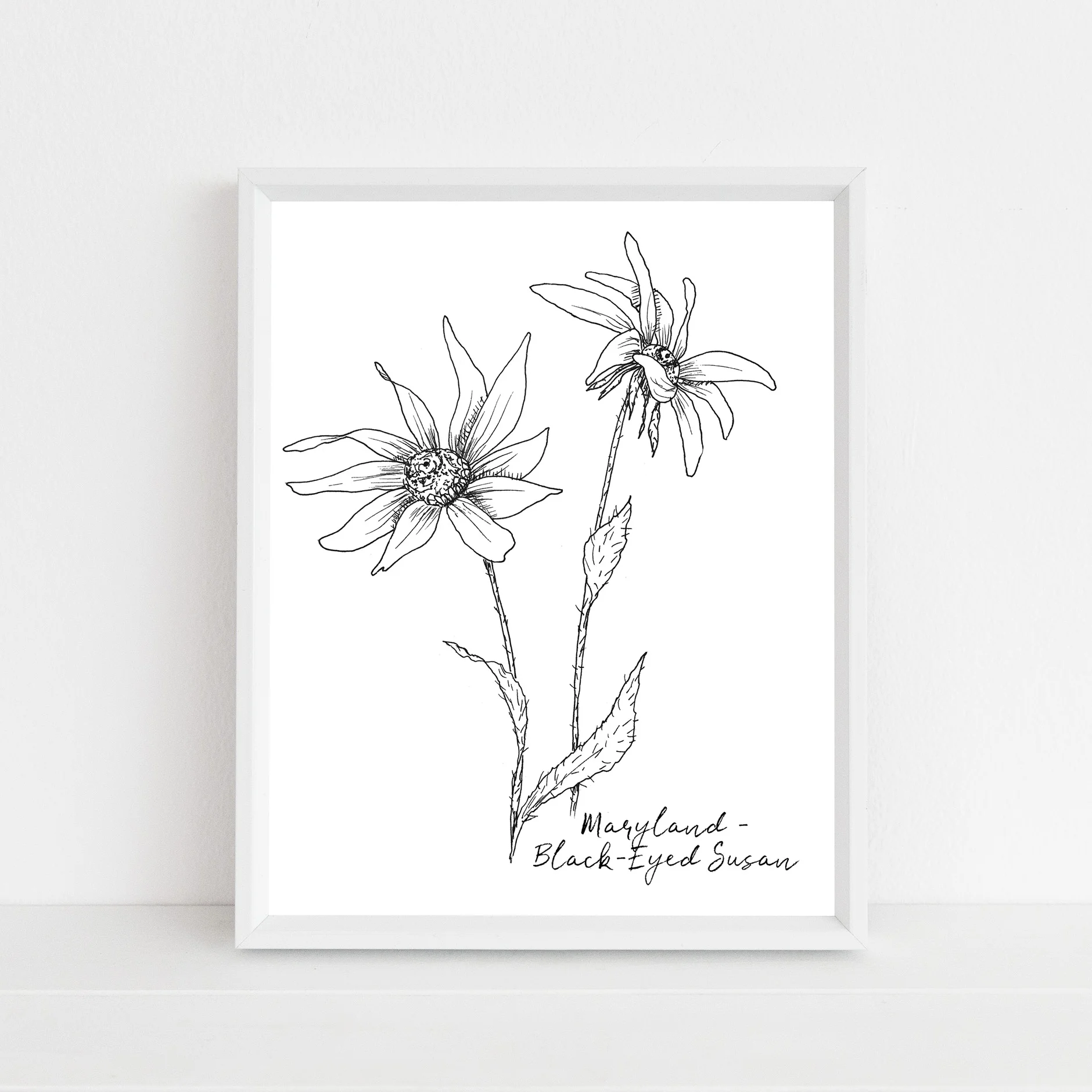 Maryland black-eyed susan state flower framed mock up with script.jpg