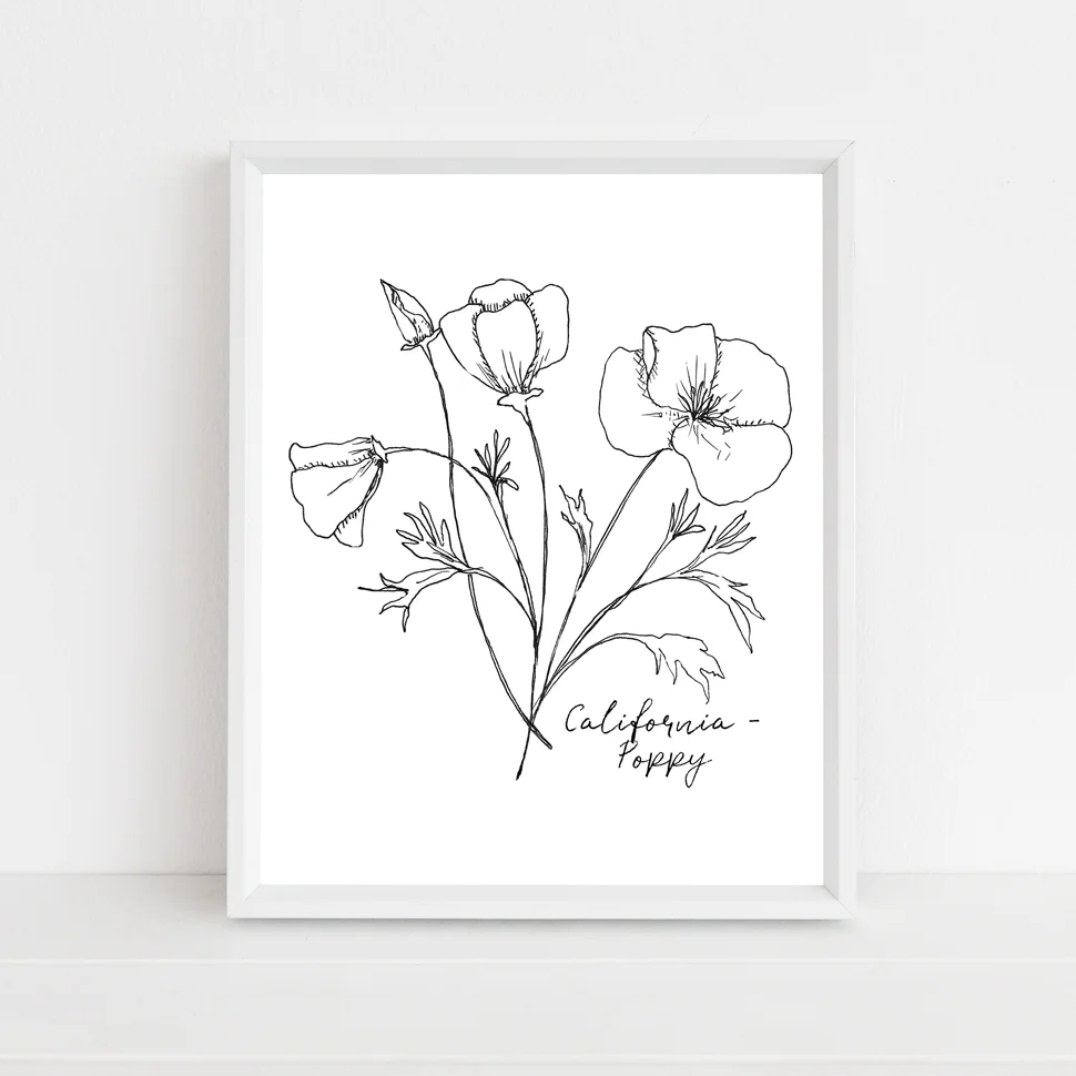 california poppy state flower framed mock up with script.jpg