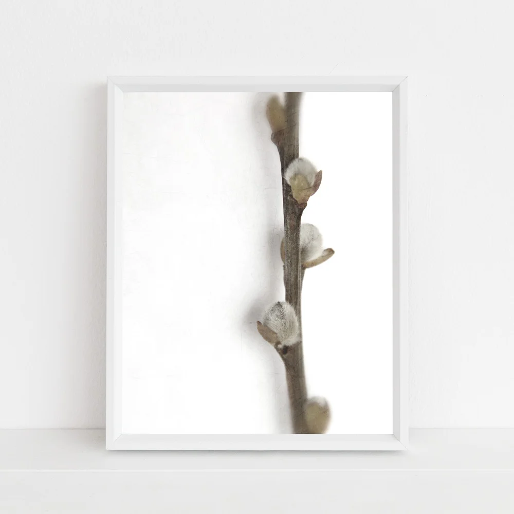 pussy willow photograph neutral by Journey Home Made.jpg