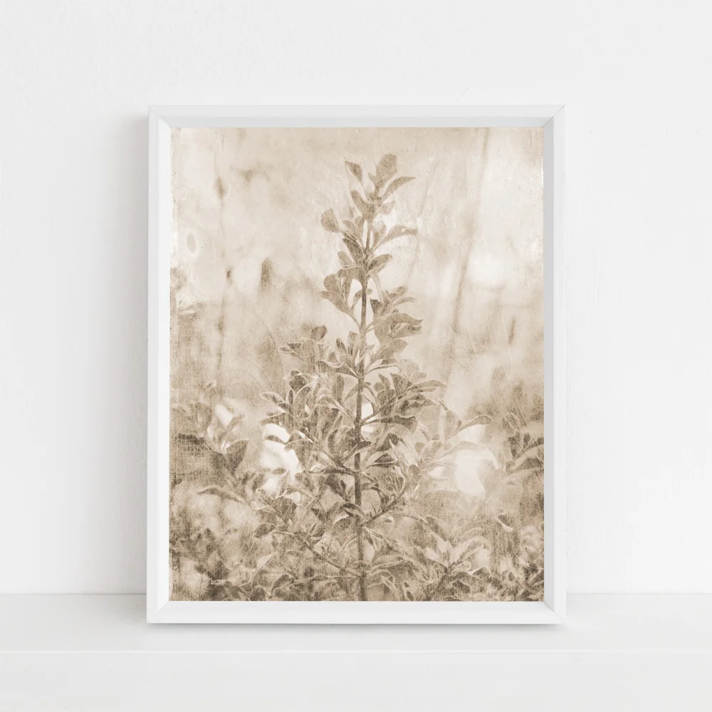 dream within a dream in beige tones.jpg