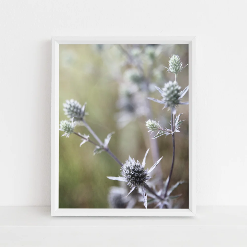 thistle neutral tones photograph by Journey Home Made.jpg