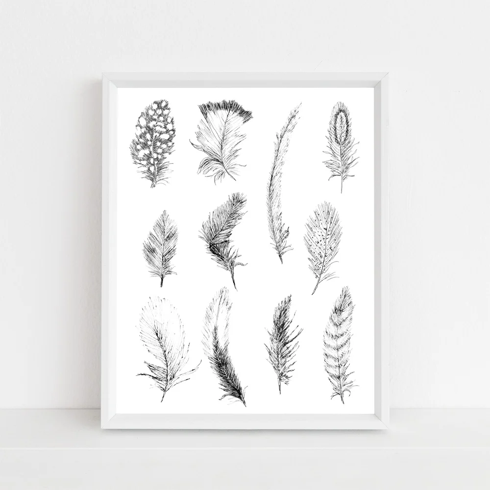 multi feather illustration mock up.jpg