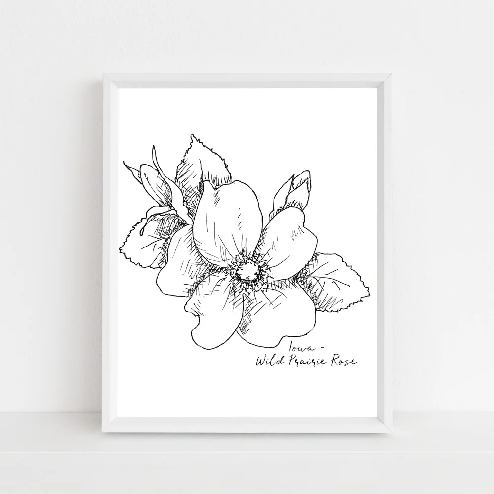 iowa wild prairie rose state flower framed mock up with script.jpg