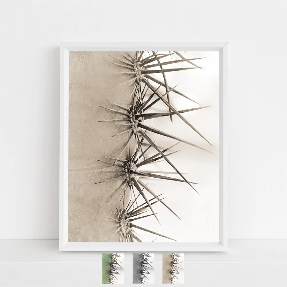 cacti beige tone photograph by Journey Home Made color options.jpg