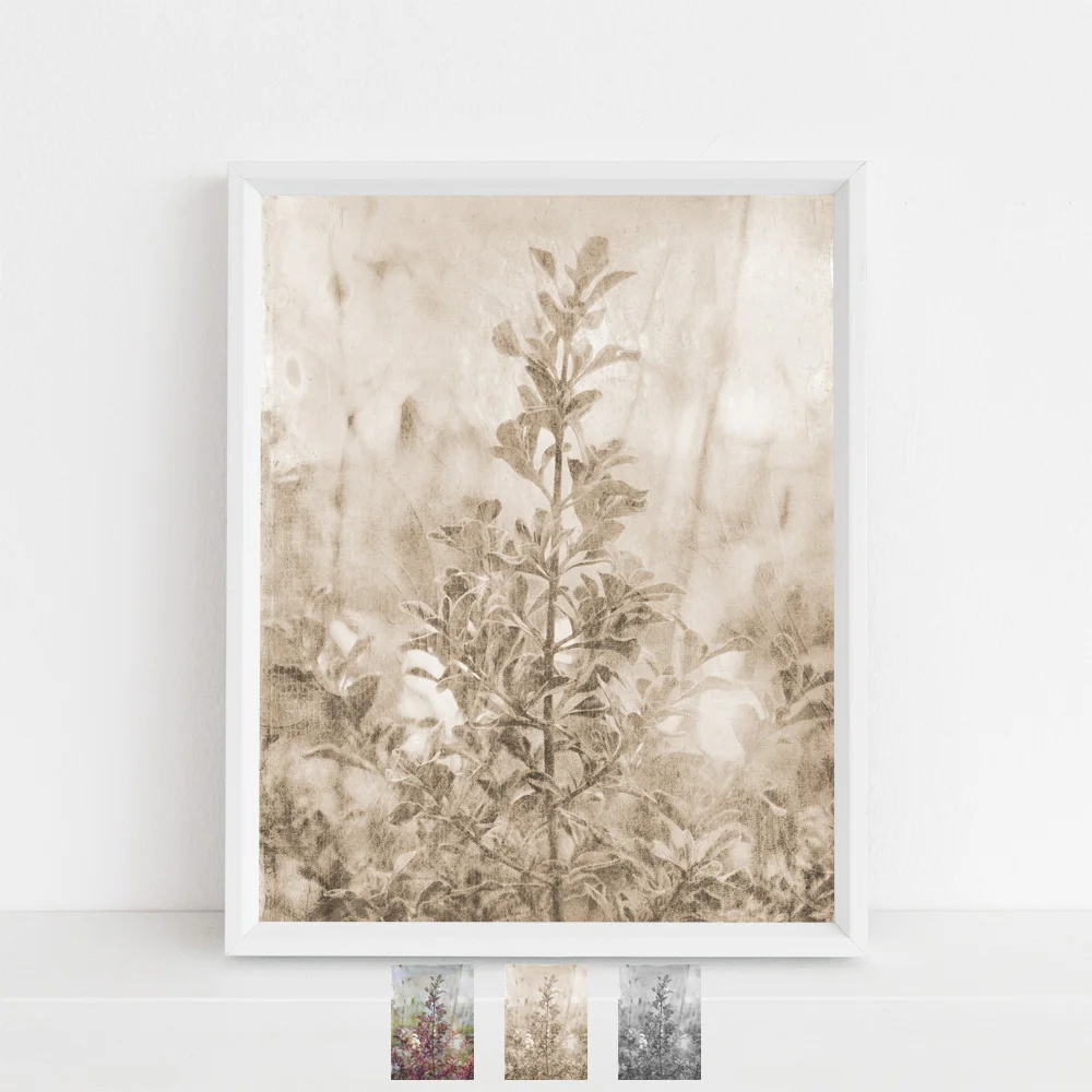 dream within a dream in beige tones options.jpg