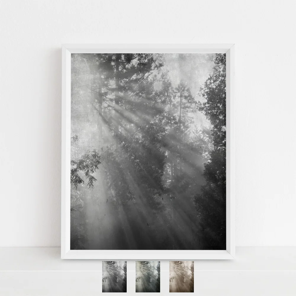 enlighten black and white mock up options.jpg