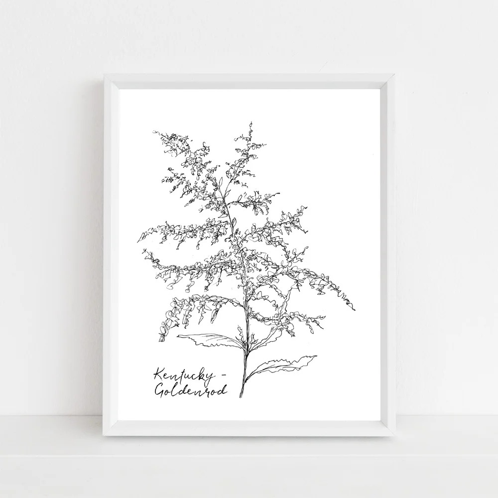 Kentucky goldenrod state flower framed mock up with script.jpg