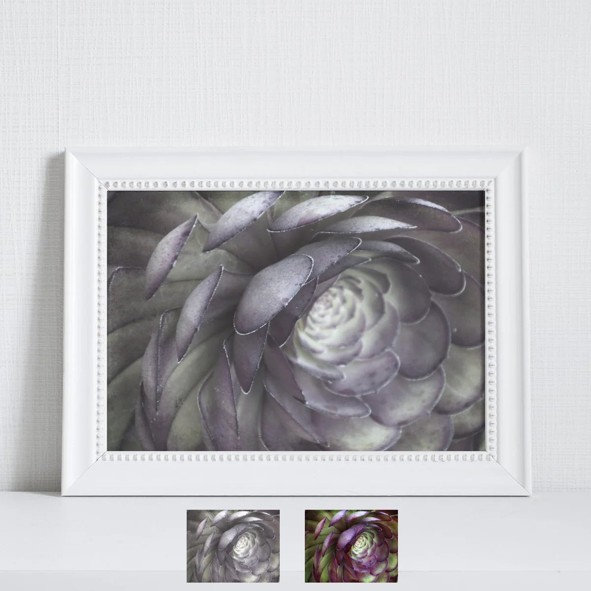 Succulent 2 photograph neutral by Journey Home Made options.jpg