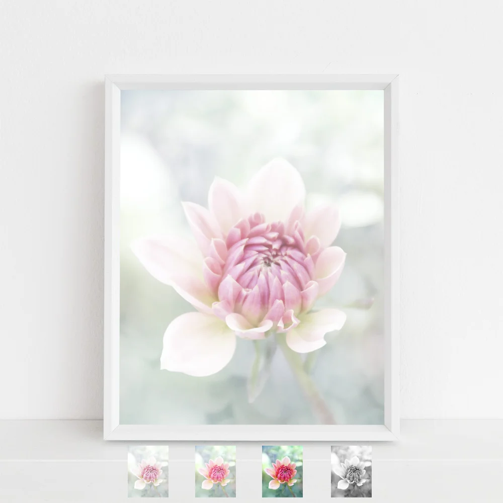new beginnings whisper tones mock up options.jpg