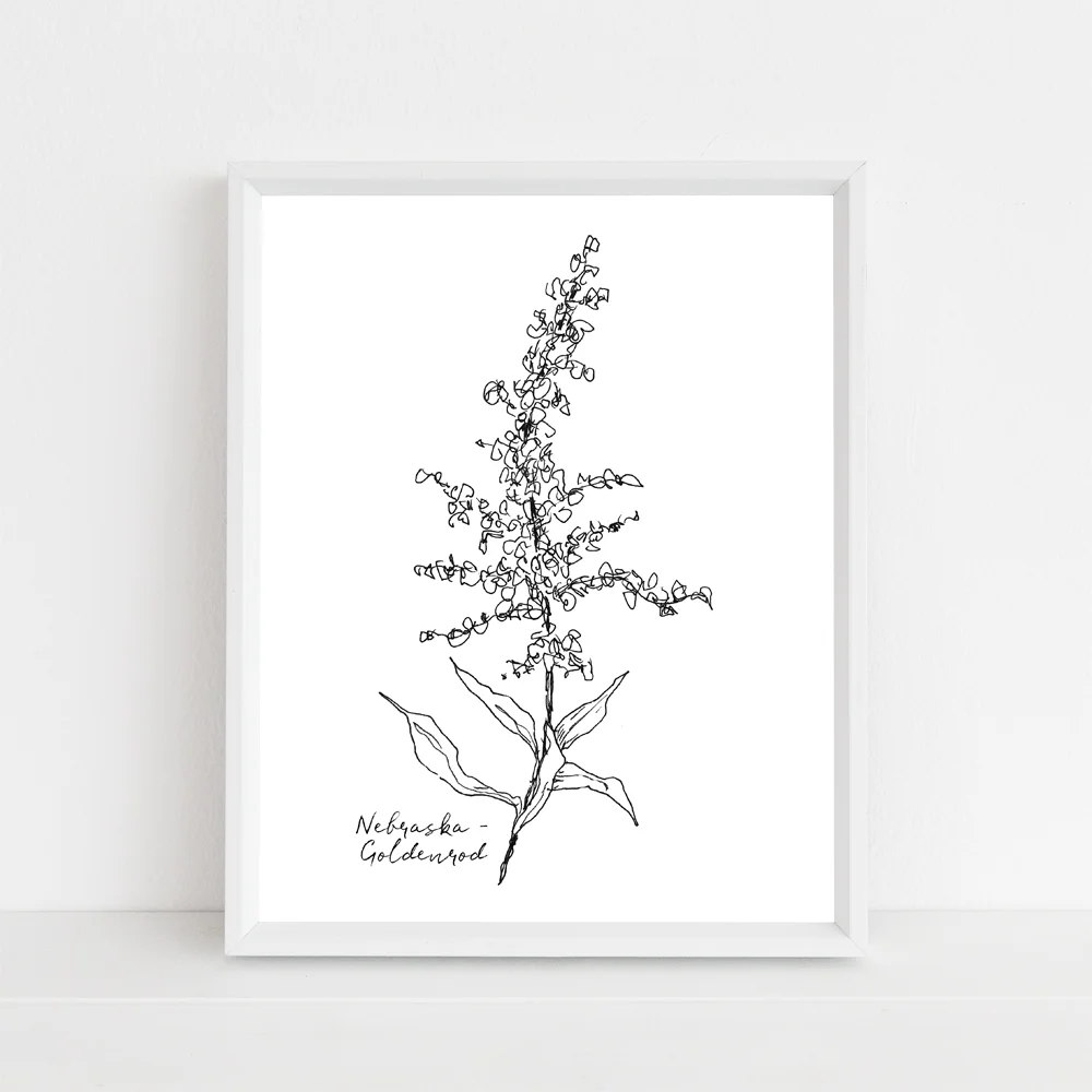 Nebraska goldenrod state flower framed mock up with script.jpg