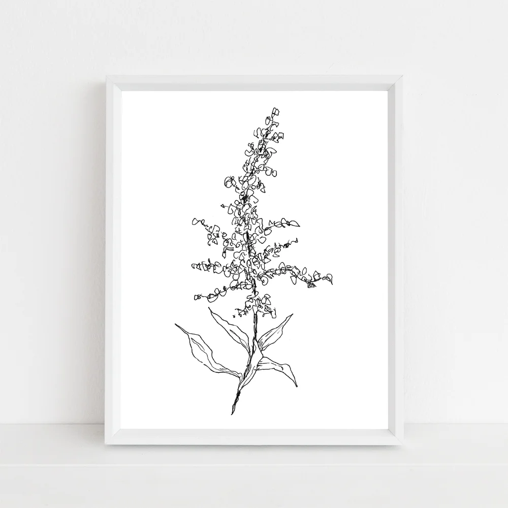 Nebraska goldenrod state flower framed mock up without script.jpg