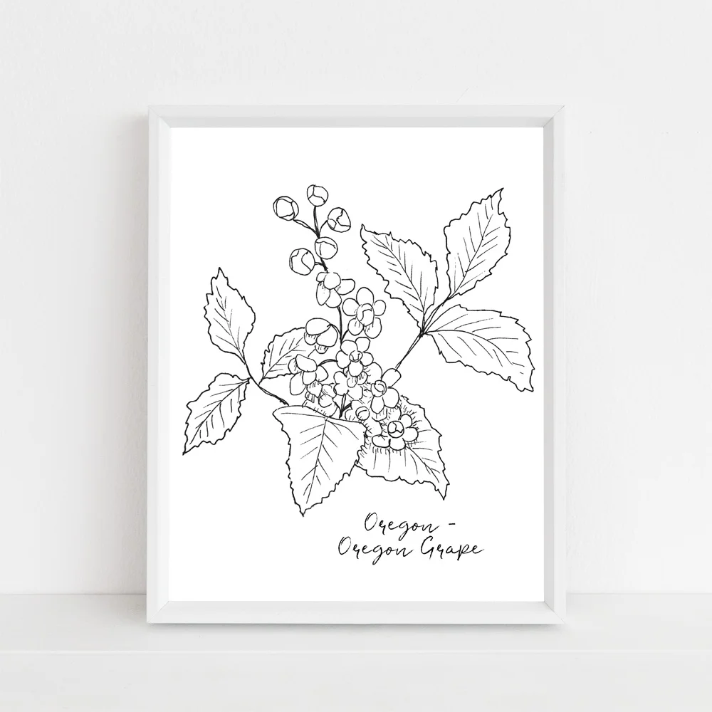 Oregon Oregon Grape state flower framed mock up without script.jpg