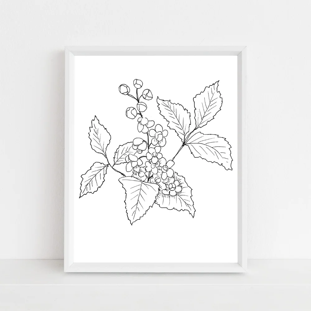 Oregon Oregon Grape state flower framed mock up without script.jpg