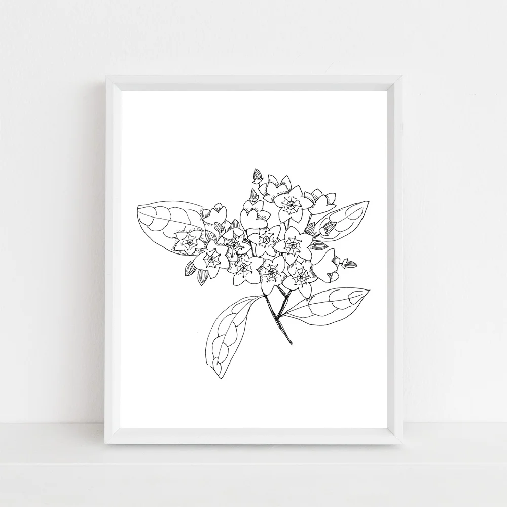 Pennsylvania Mountain Laurel state flower framed mock up without script.jpg