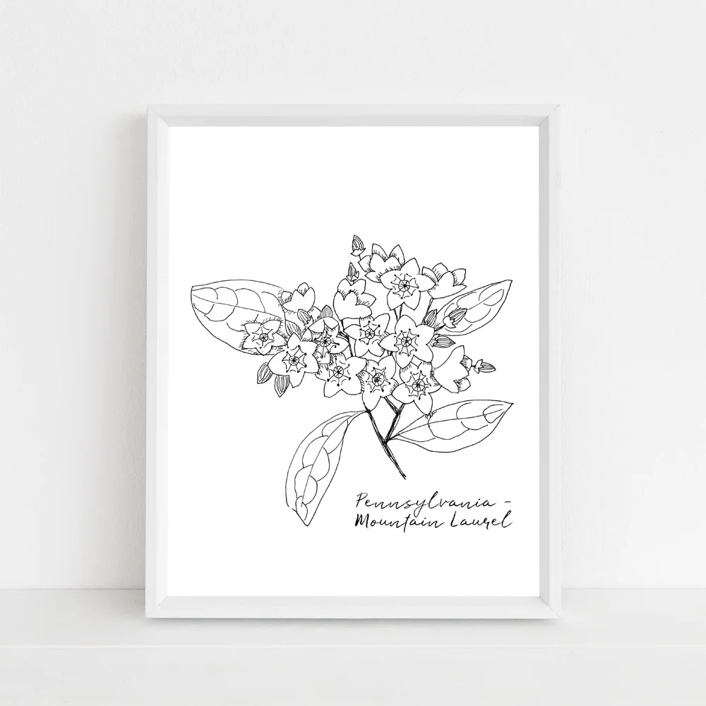 Pennsylvania Mountain Laurel state flower framed mock up with script.jpg