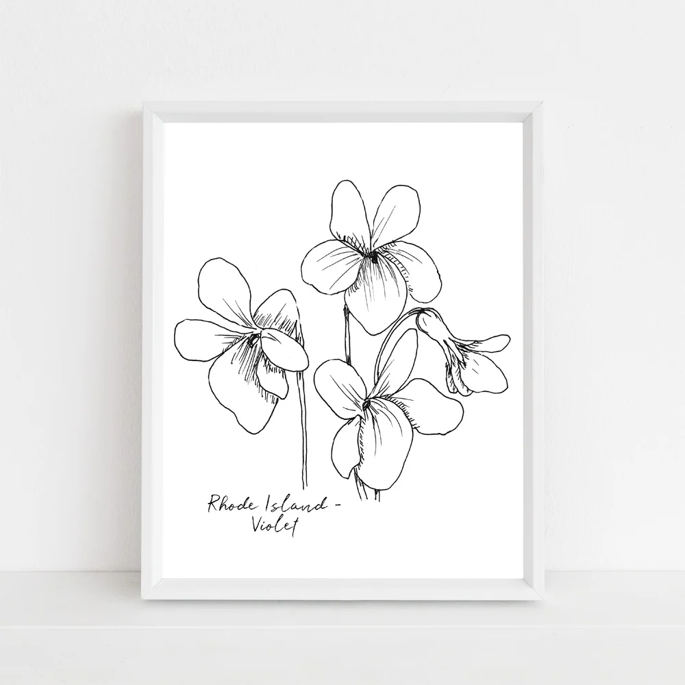 Rhode Island violet state flower framed mock up with script.jpg