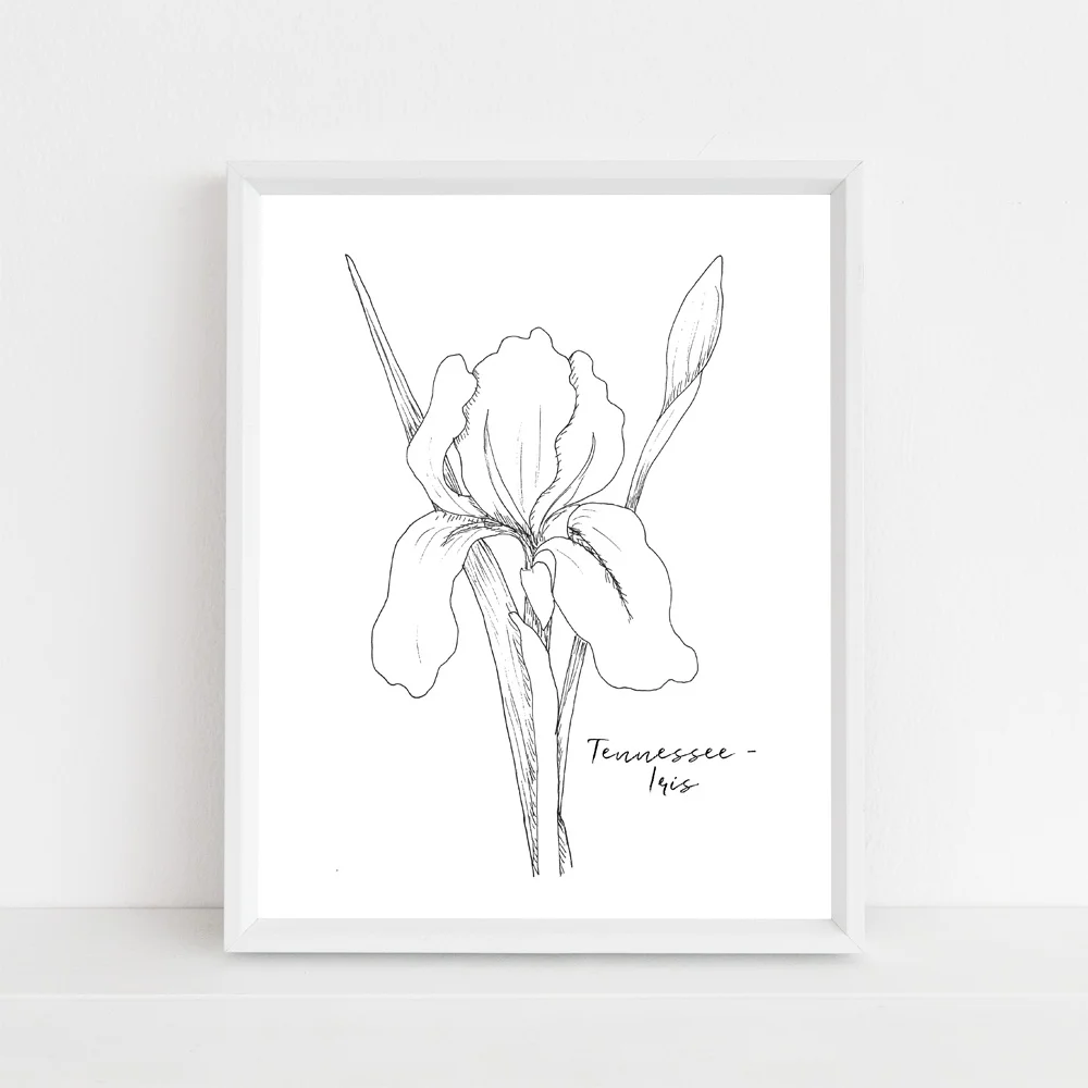 Tennessee iris state flower with script framed mock up.jpg