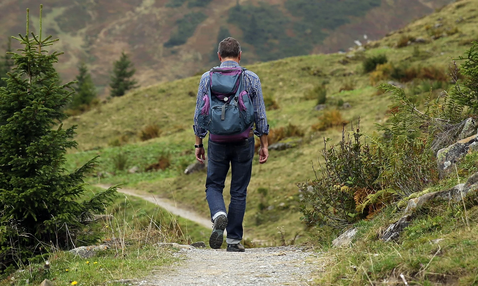 " Wanderer " by Hermann via Pixabay (Public Domain)