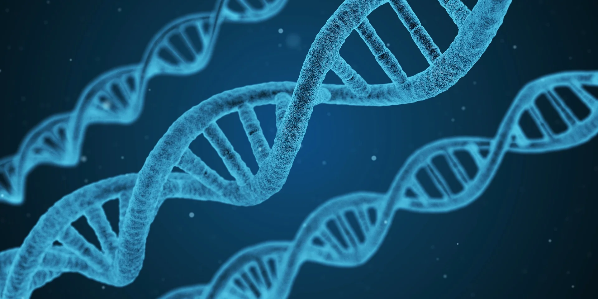 " DNA String Biology " by qimono via Pixabay (Public Domain CC 2.0 )