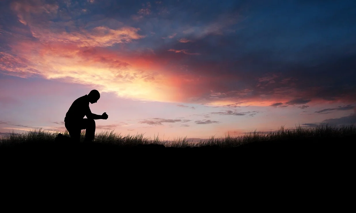 Man in Field Storyblocks S.jpg
