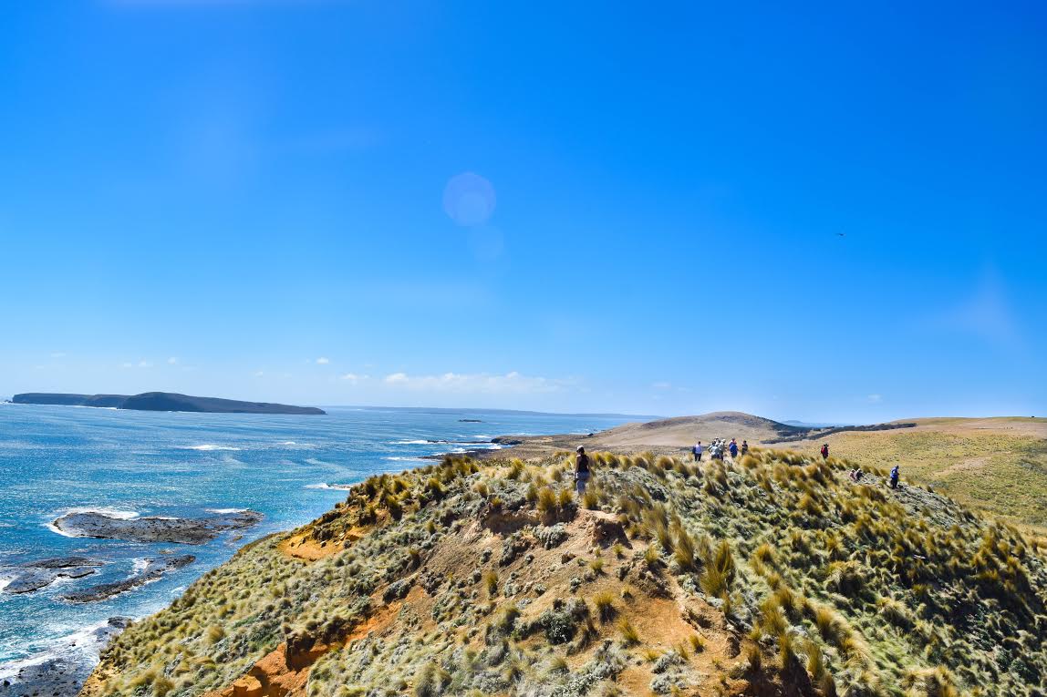 The view of Trefoil and Hunter Island from Woolnorth, Tasmania