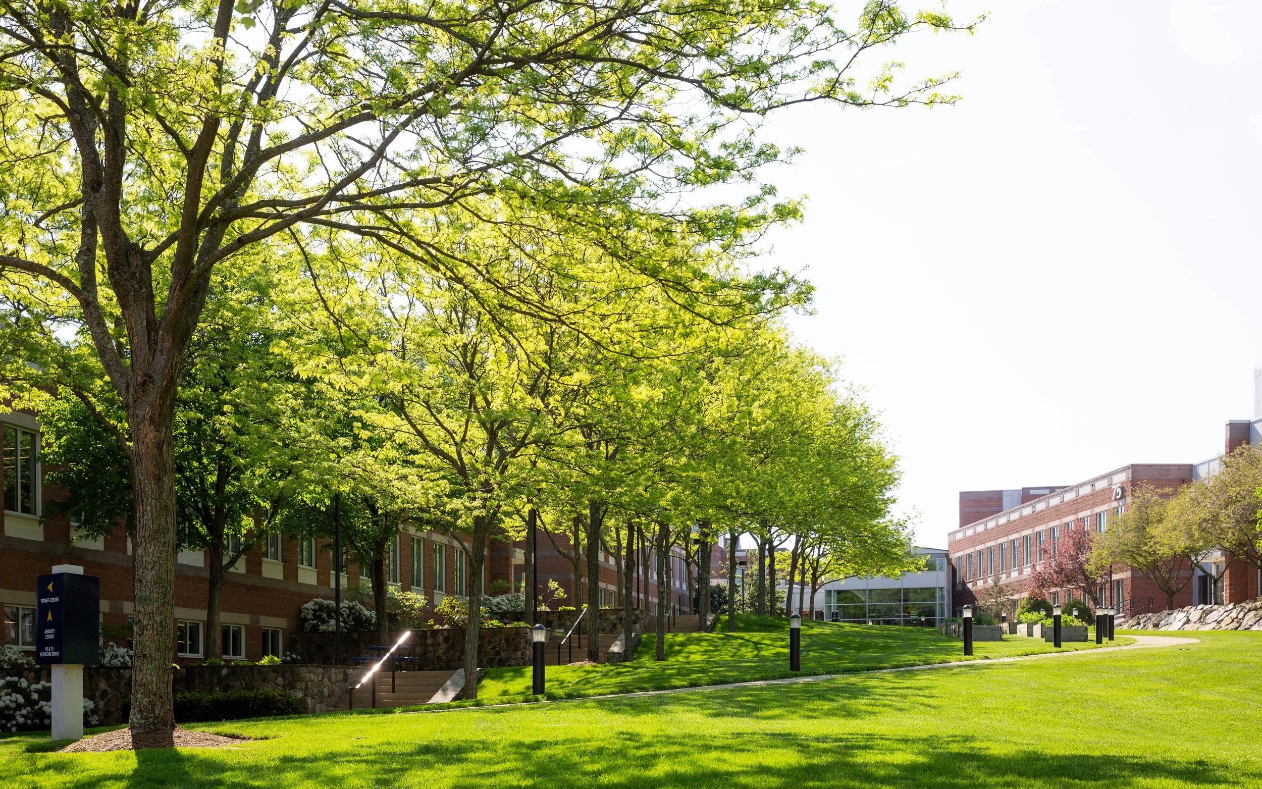 Network Drive Campus