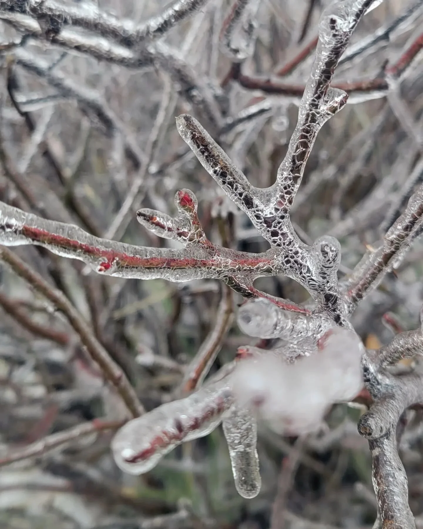 Love the frozen details❤️ (1/3)