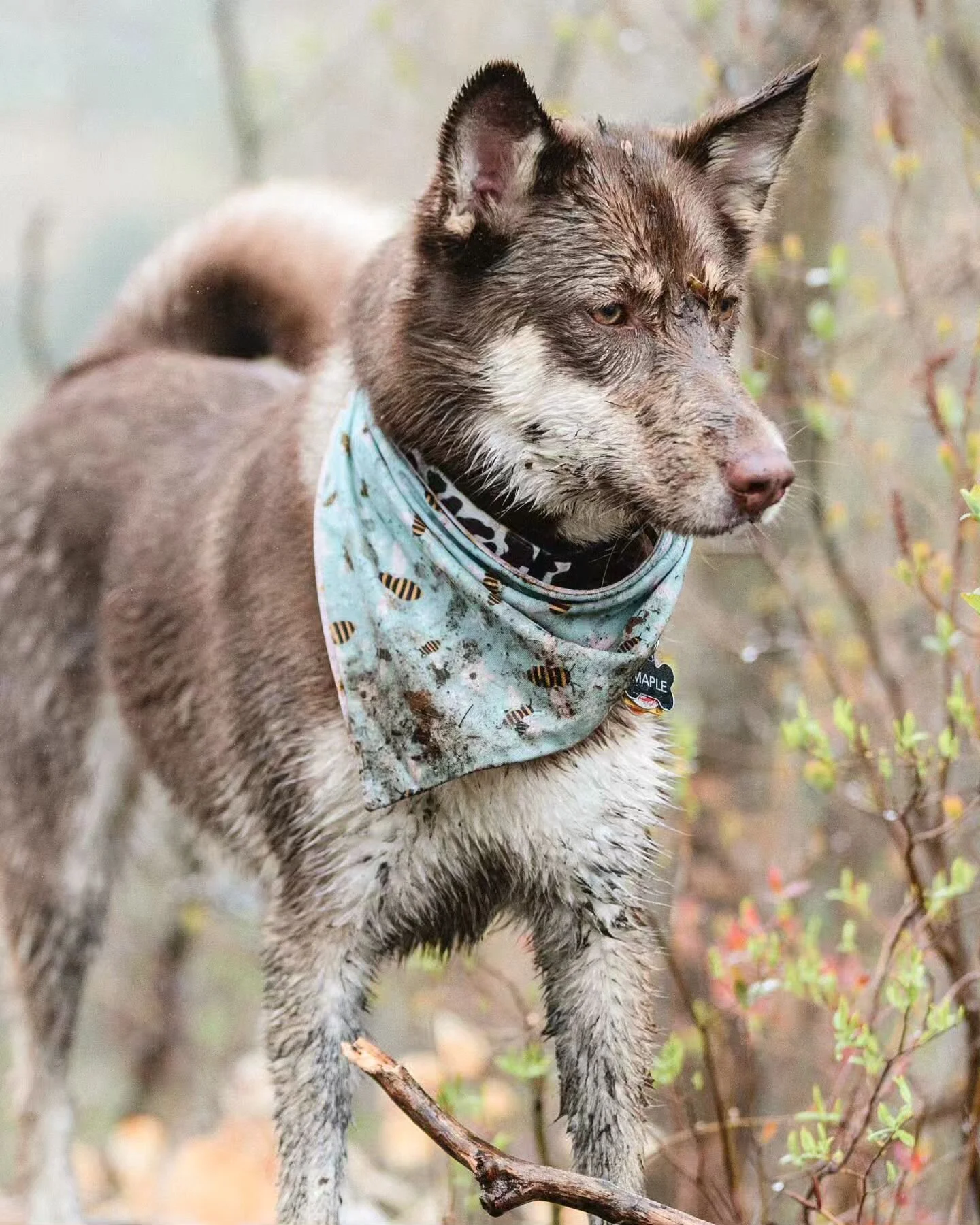 Happy Monday mud day! Is this a thing? Can we make it a thing?