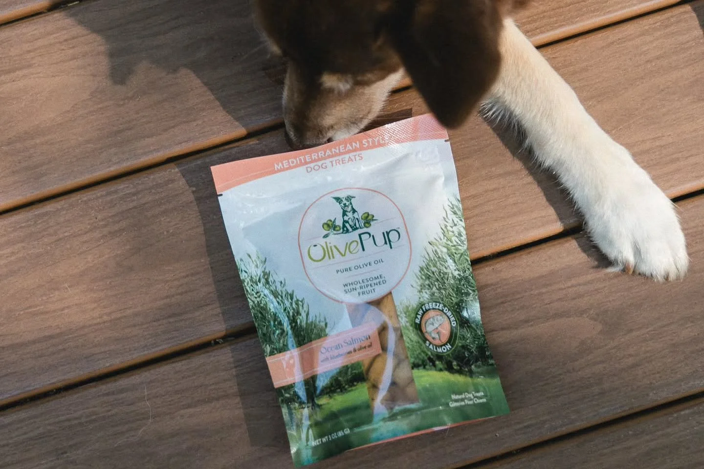 A little Mediterranean snack break for Maple 🫒 These Ocean Salmon treats from @OlivePupLife are made with salmon, blueberries, and pure olive oil, which we love for its antioxidant benefits and support for healthy skin and a shiny coat. They&rsquo;r