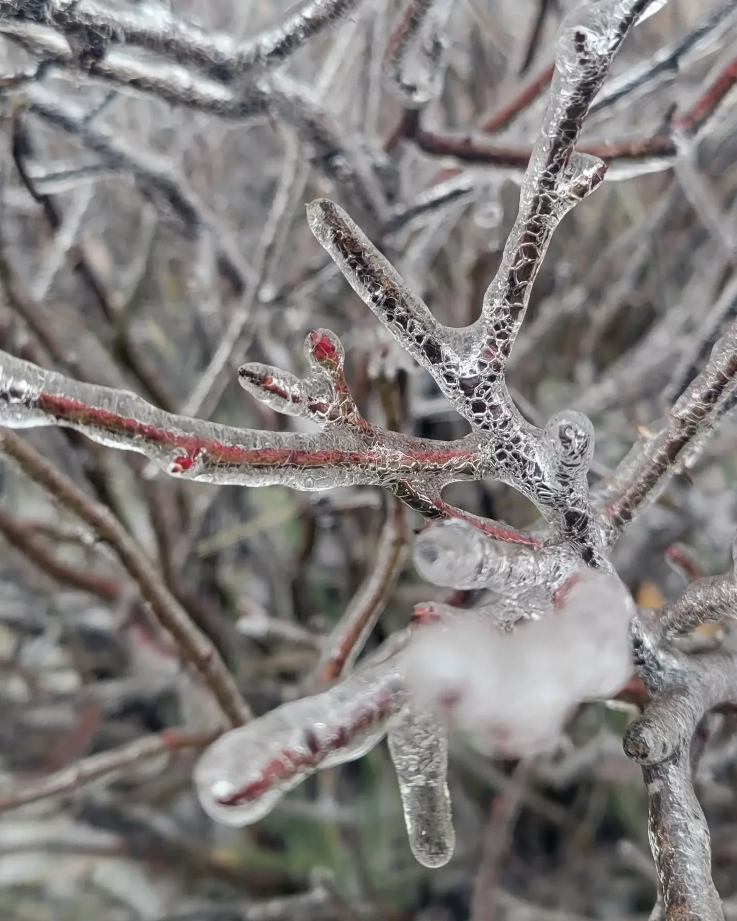 Love the frozen details❤️ (1/3)