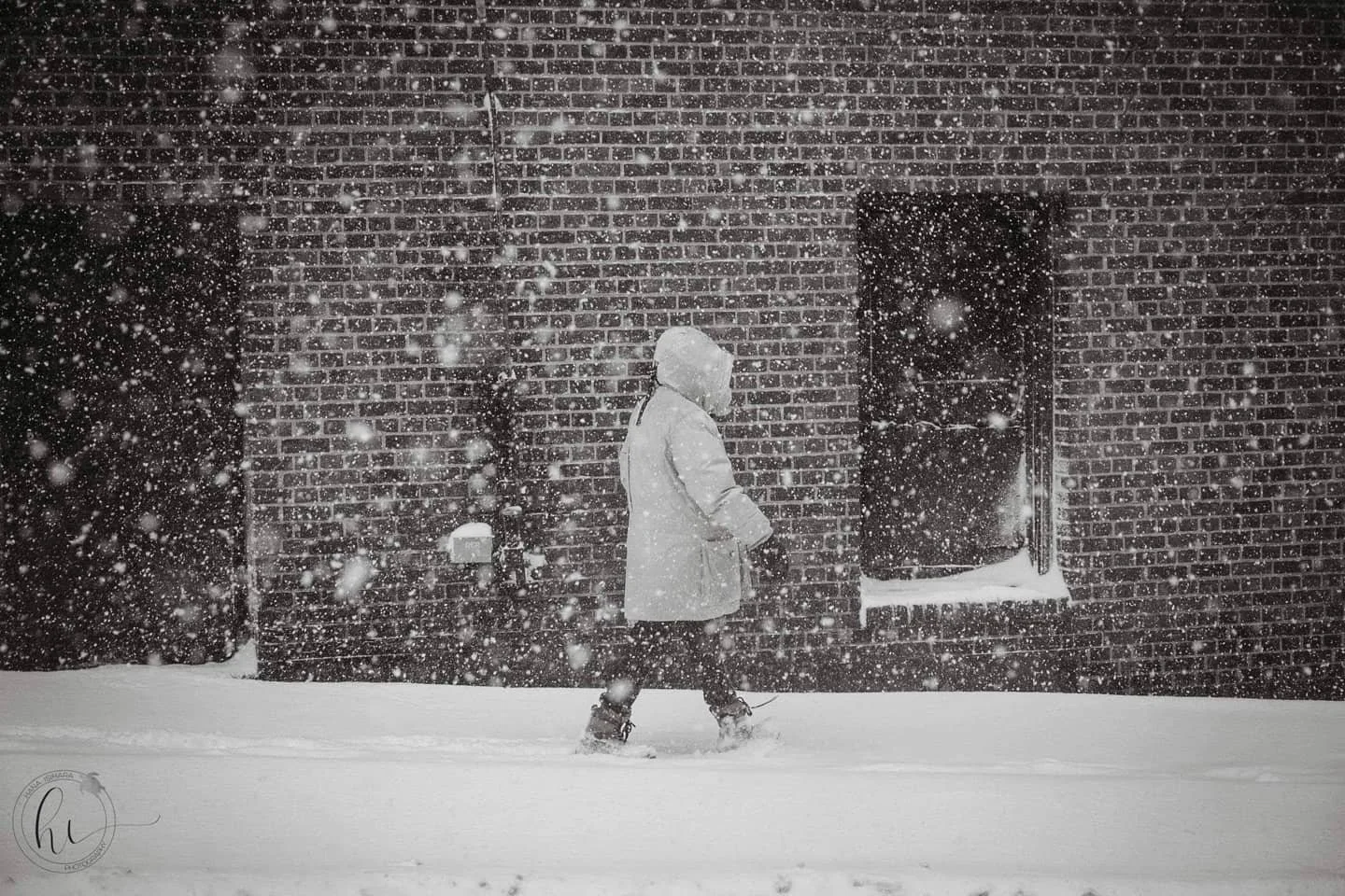 My favorite photo of this series (1/12)