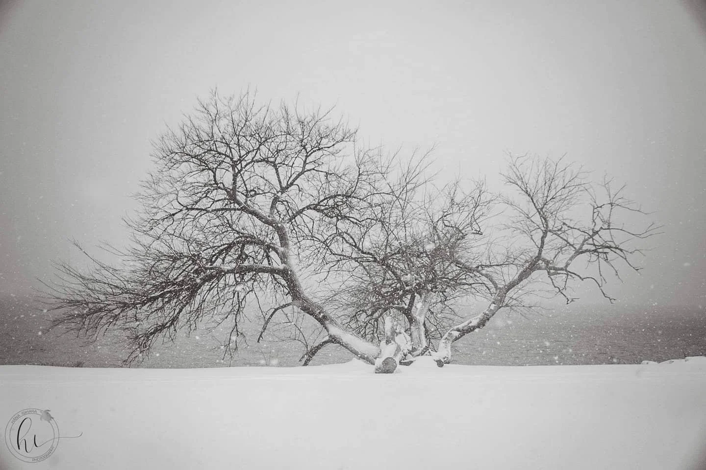View of the Hudson River (2/12)