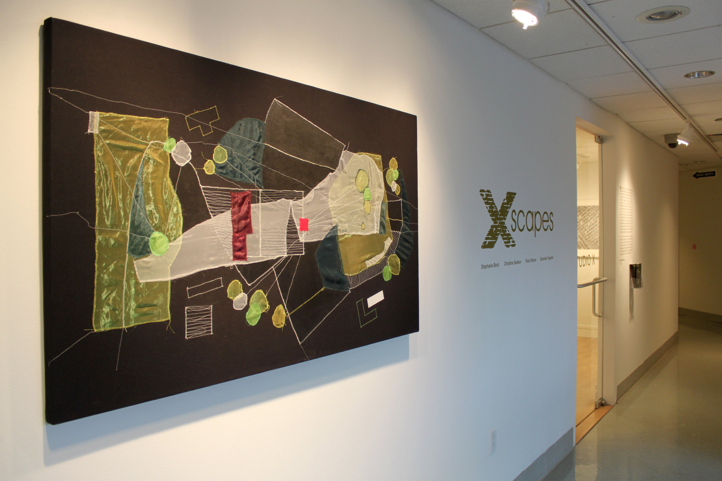 Installation photo of X-scapes