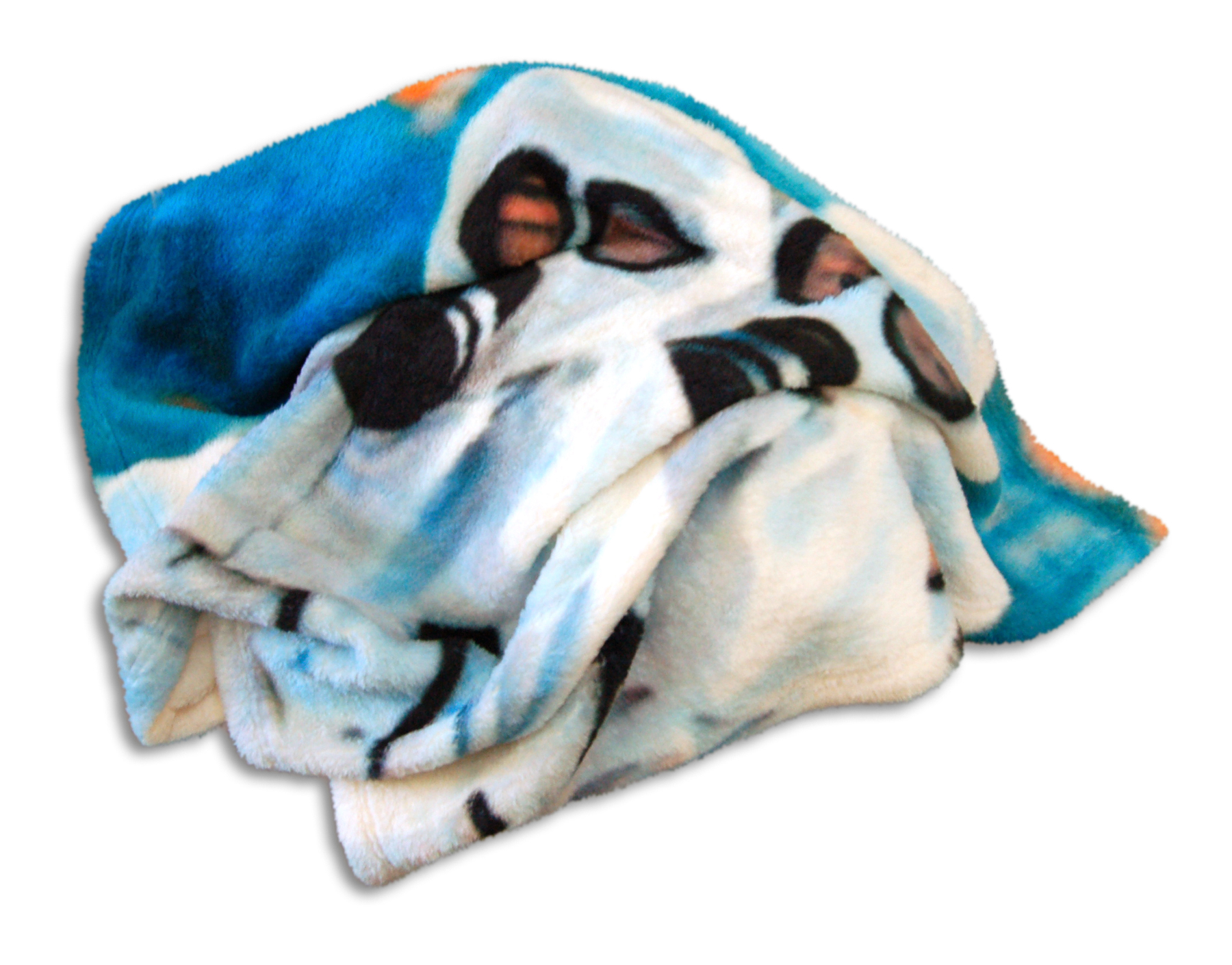 SBhazmatFloatingCruzEberhardHowe.jpg