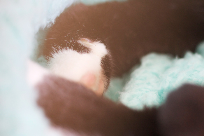 IreneEmily Photography