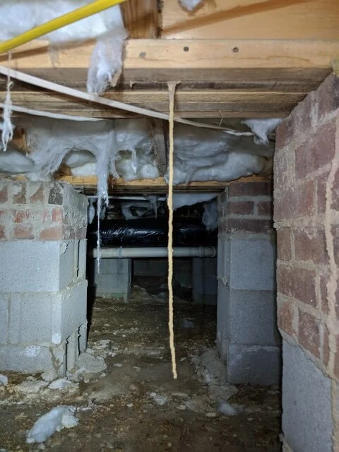 AG Home Inspections performs Termite Home Inspections in Apex, Cary, Chapel Hill, Durham, Fuquay-Varina, Garner, Holly Springs, and Raleigh NC
