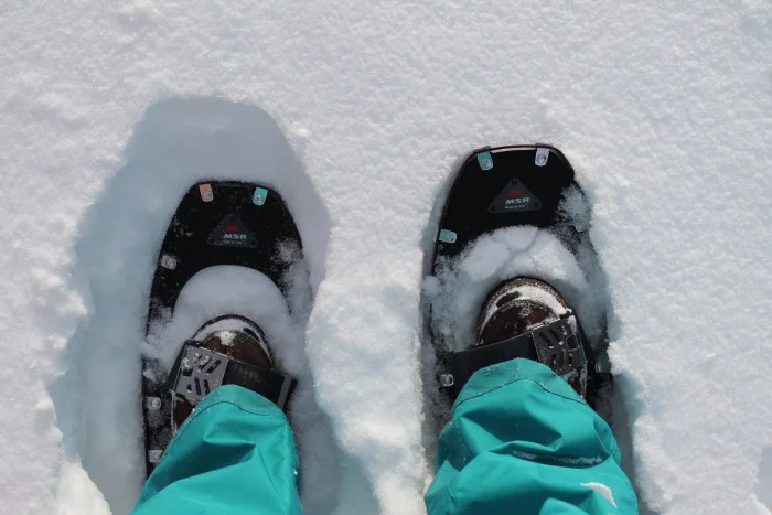 loving winter