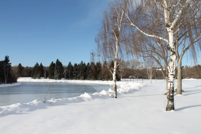 loving winter