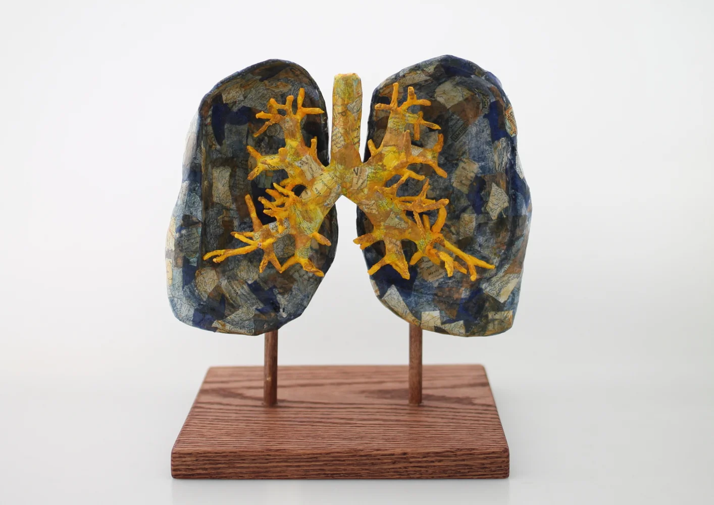 Lungs Papier maché and wood 8 x 7 x 9 inches 2017