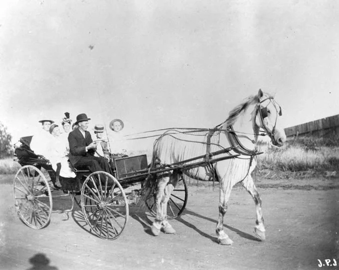 Discover Neenah: Downtown Family Day