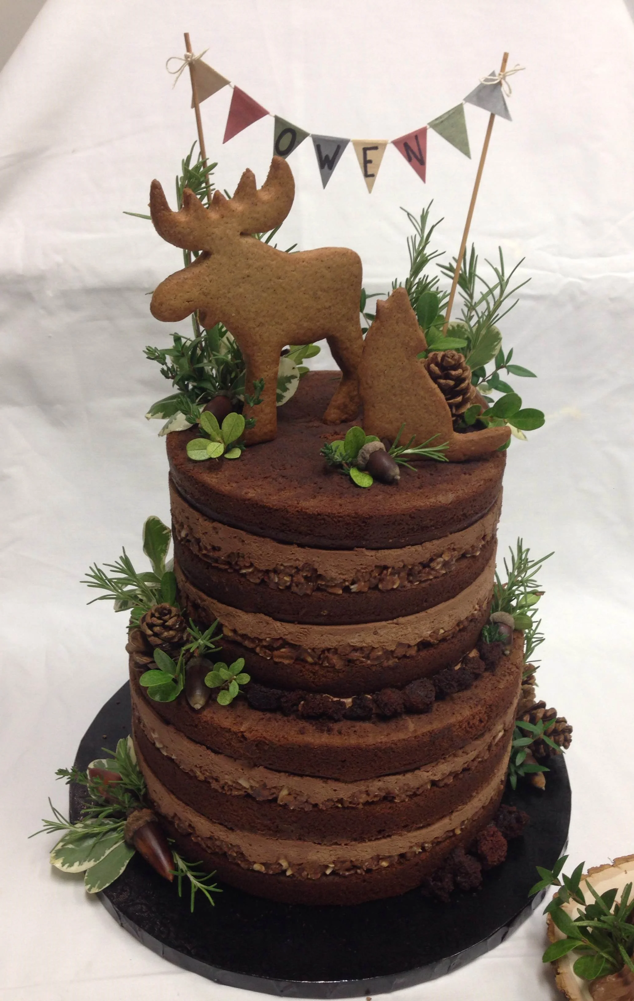 Camping/Outdoors Theme