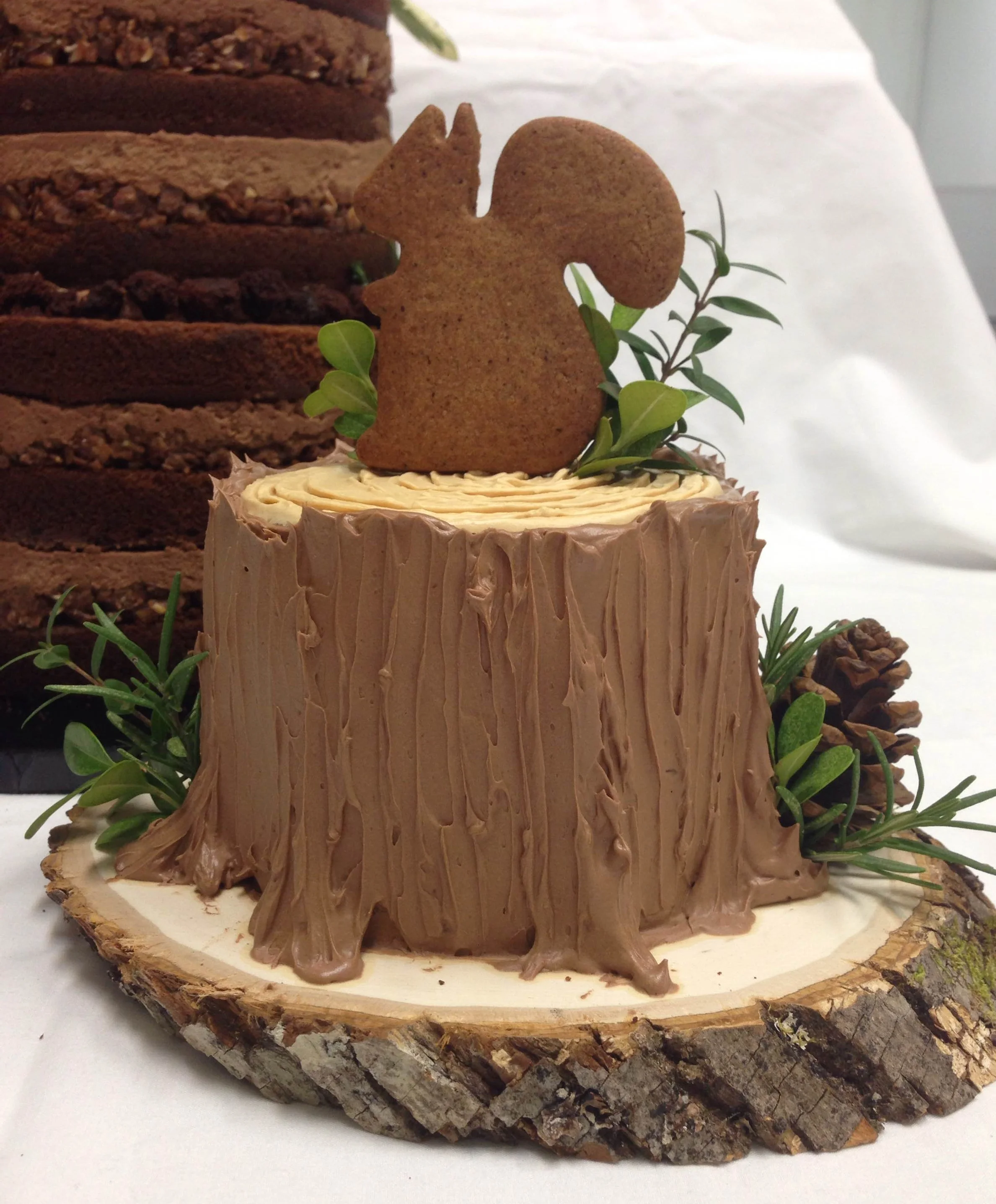 Tree Stump Smash Cake