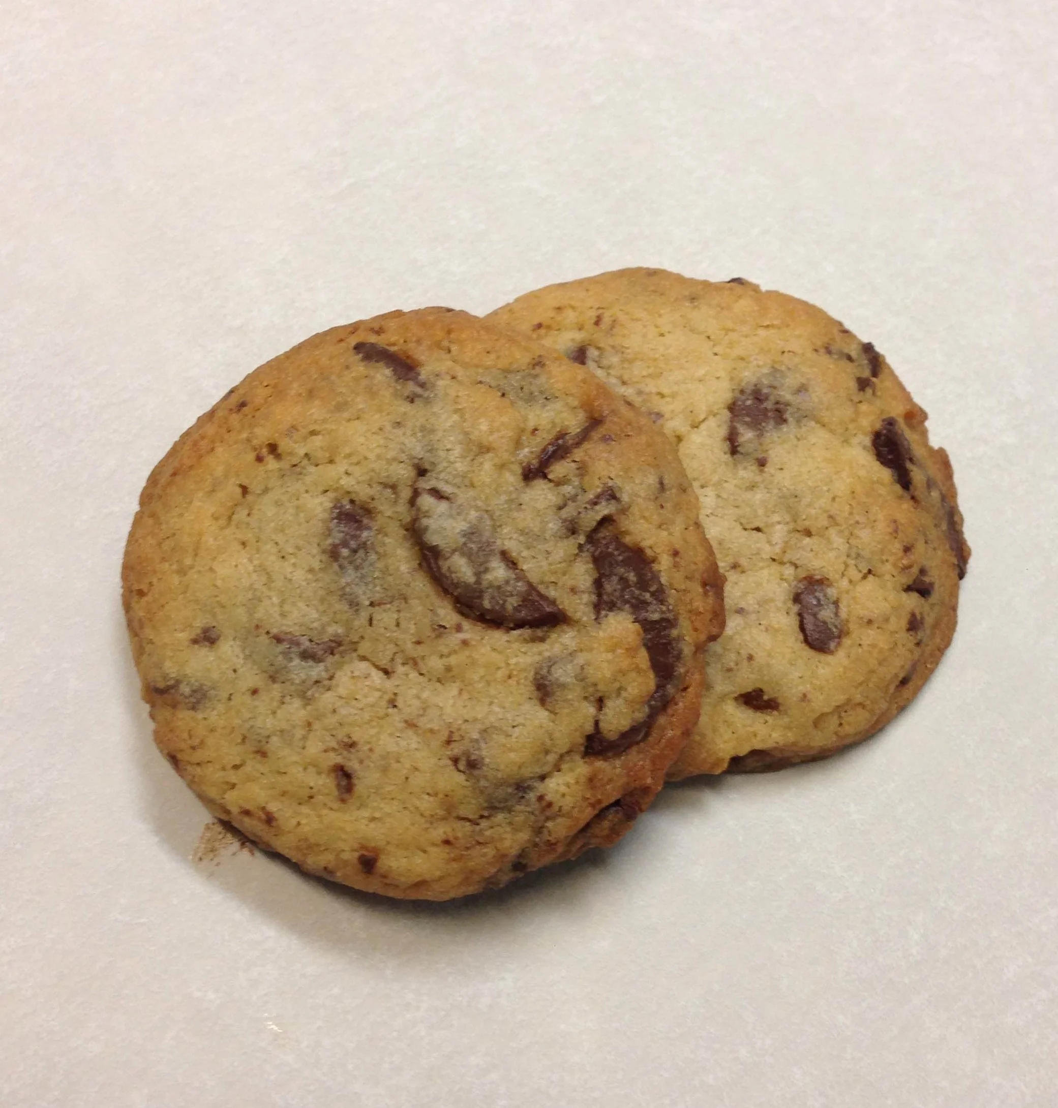 Chocolate Chip Mini.JPG