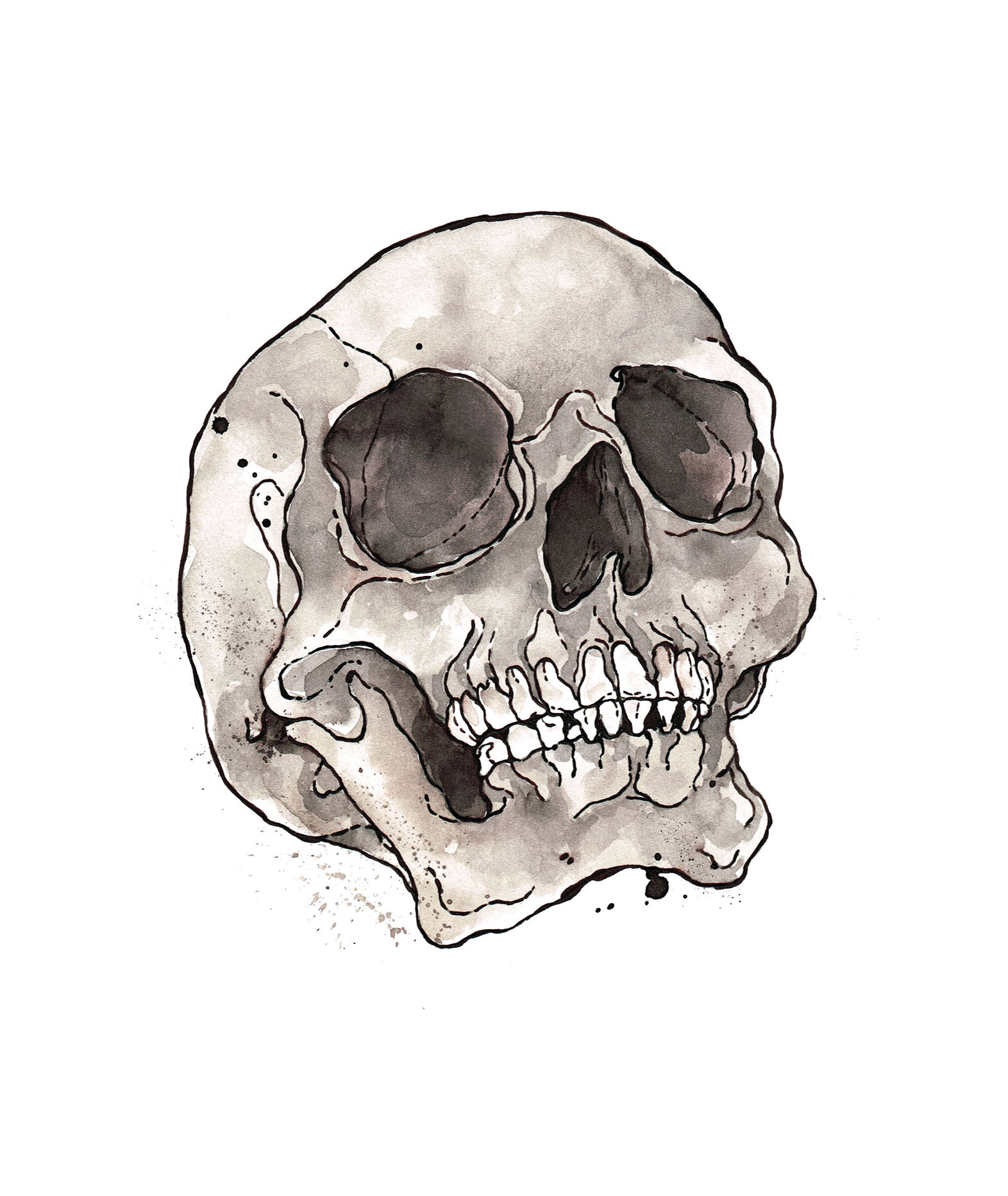 Skull Study, SCA Graduation, 2014