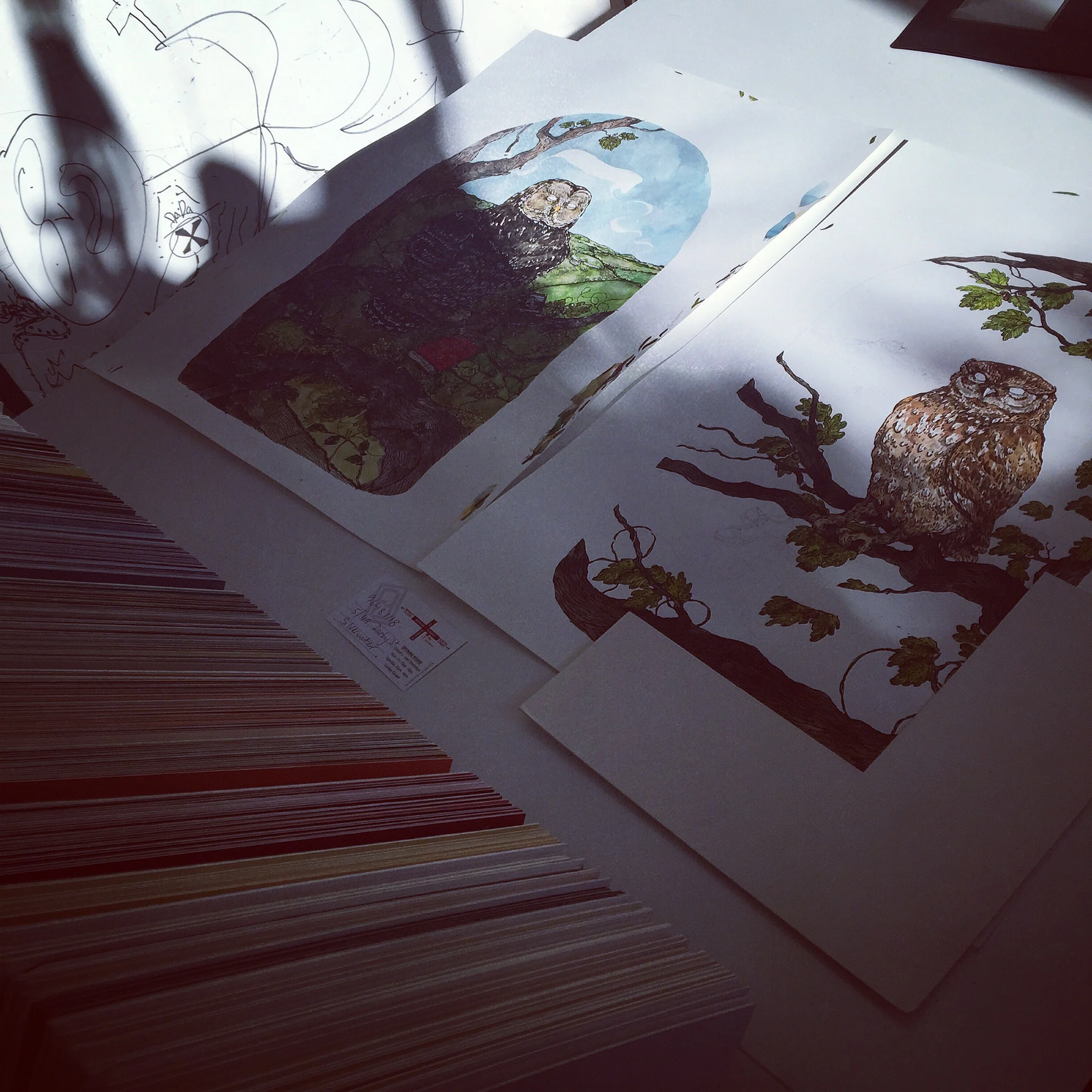 A trip to my favourite Framers 'Forte' for some advice and backing to those vintage frames...
